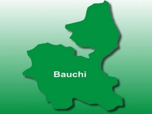 Food Security: Bauchi Plans Agro-industrial Processing Zone